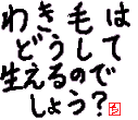 ^CgS