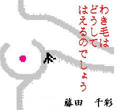 ͂܂킫уCt
