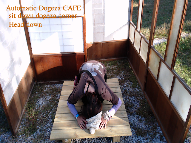 DOGEZA Coffee